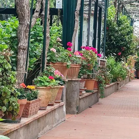Dei Fiori