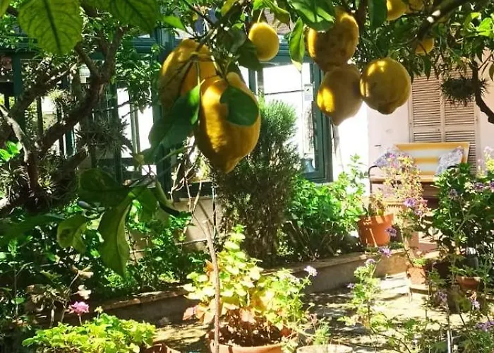 Dei Fiori Nocleg ze śniadaniem Capri