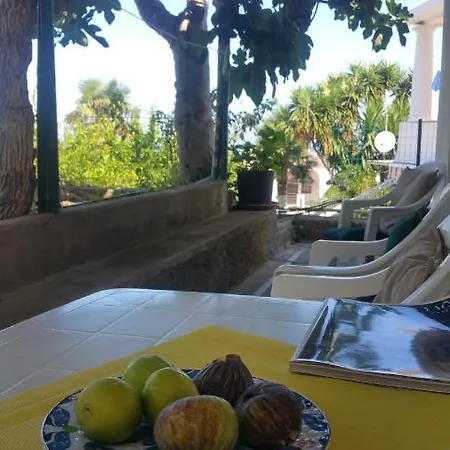 Dei Fiori