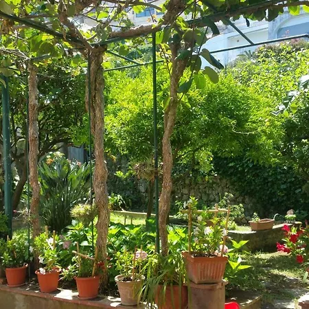 Dei Fiori *