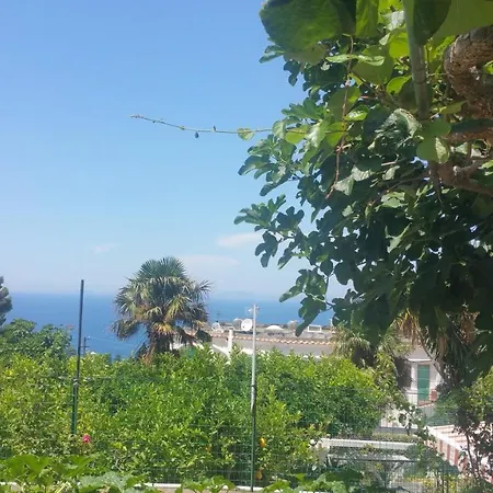 Couette-café Dei Fiori 3*