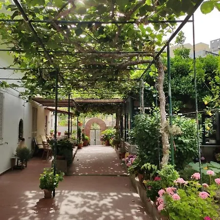 Dei Fiori 住宿加早餐酒店 卡普里