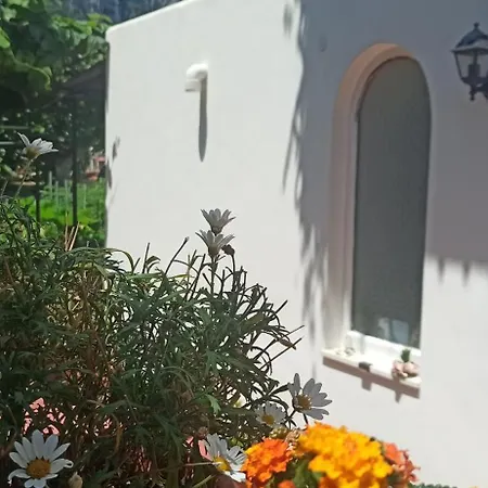 Dei Fiori Capri
