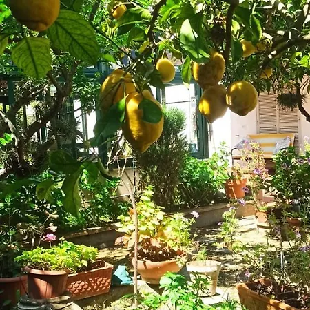 Dei Fiori Bed & Breakfast Capri