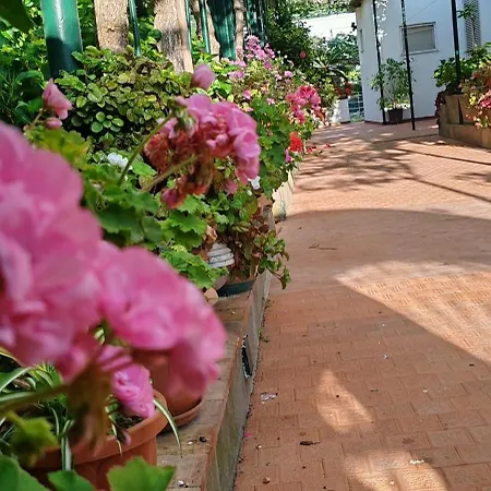 Dei Fiori