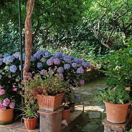 Dei Fiori Frühstückspension 3*