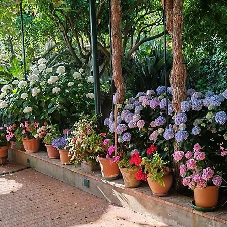 Dei Fiori 3*