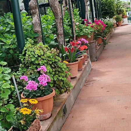 Bed & Breakfast Dei Fiori 3*