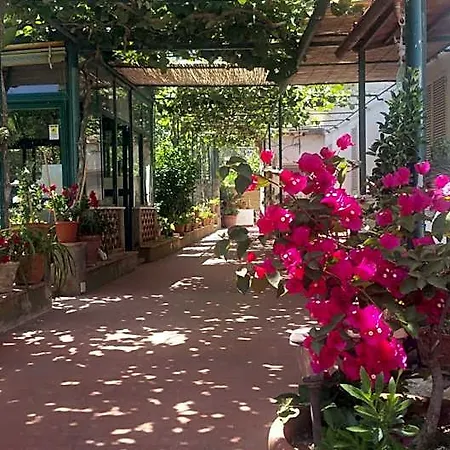 Bed & Breakfast Dei Fiori Capri