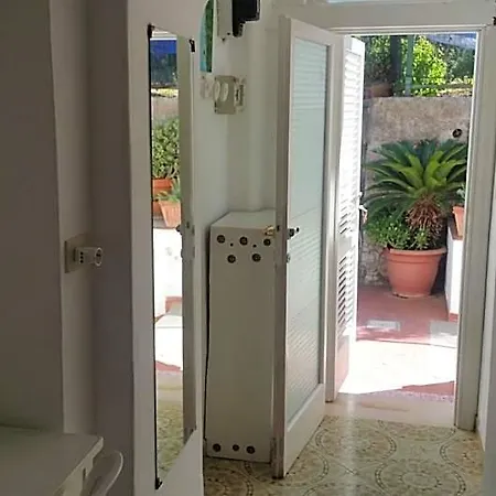 Dei Fiori