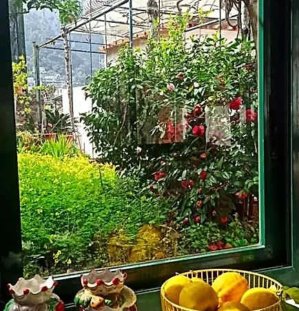 Dei Fiori Bed & Breakfast 3*