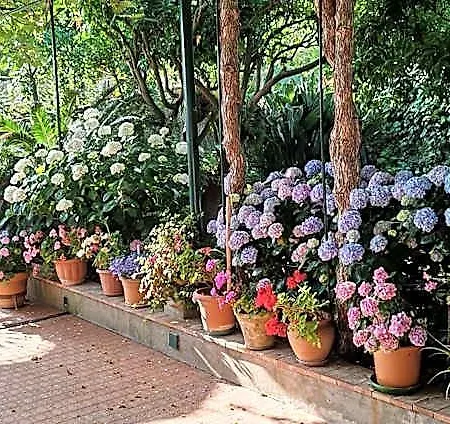 Dei Fiori 3*