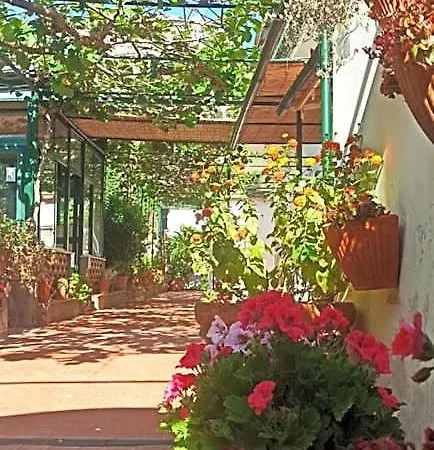 Bed & Breakfast Dei Fiori 3*