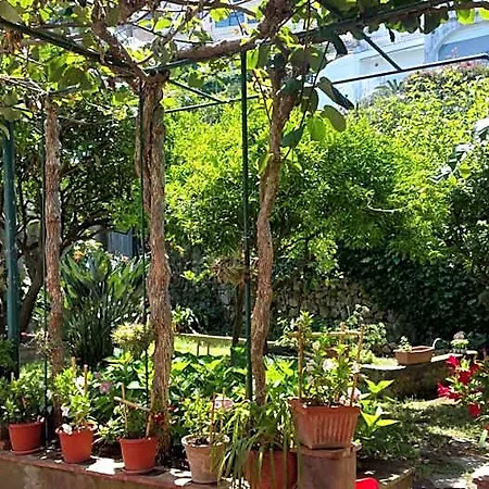 Dei Fiori Capri