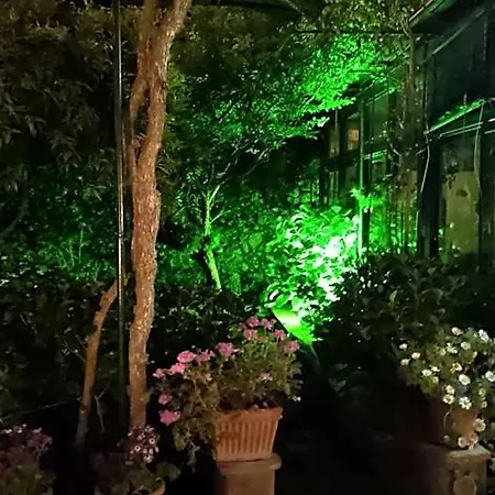 Dei Fiori 住宿加早餐酒店 卡普里
