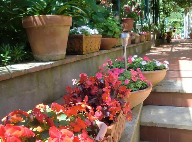 Dei Fiori Bed and breakfast