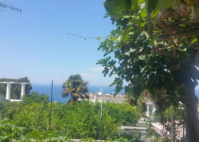 Bed and breakfast Dei Fiori 3*