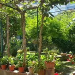 Dei Fiori 3*