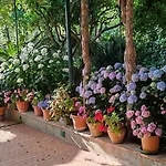 Dei Fiori 3*