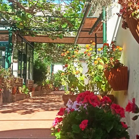 住宿加早餐酒店 Dei Fiori 卡普里