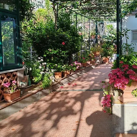 Dei Fiori 卡普里