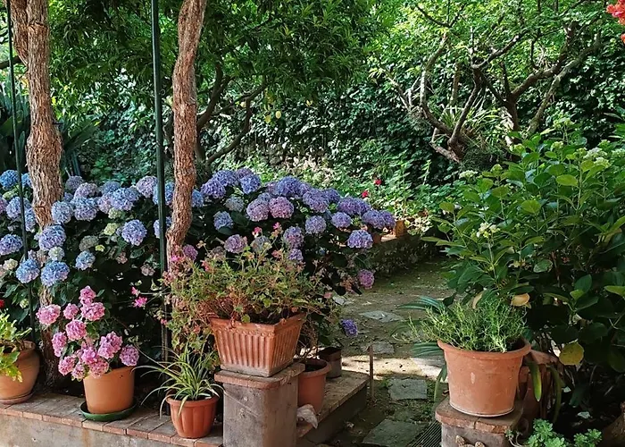 Dei Fiori Bed & Breakfast 3*